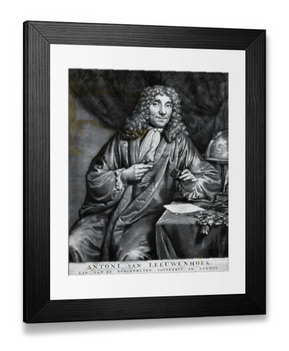 Framed Print : Antoni van Leeuwenhoek Engraving Framed Print : Antoni van Leeuwenhoek Engraving