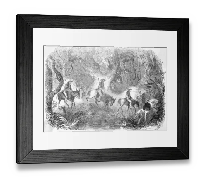 Framed Print : Californians Crossing The Panama Framed Print : Californians Crossing The Panama