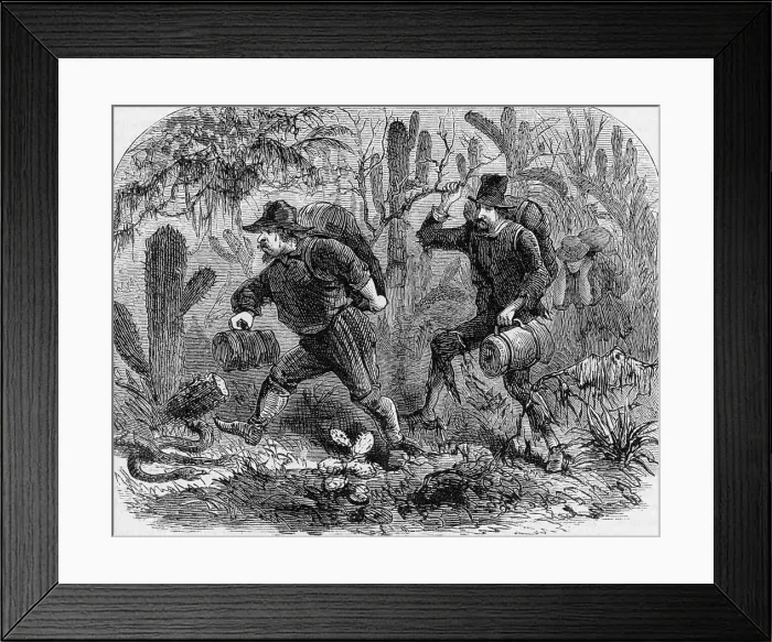 Framed Print : A Thorny Path Framed Print : A Thorny Path