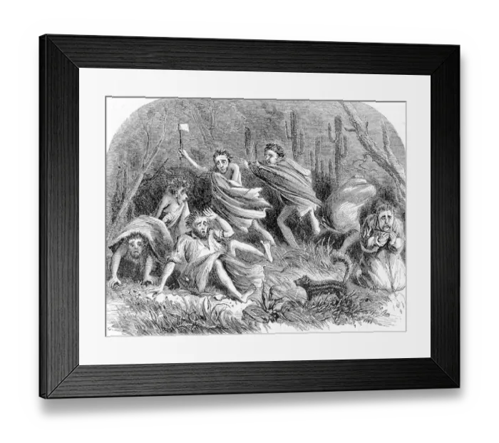 Framed Print : Stampeded By A Polecat Framed Print : Stampeded By A Polecat