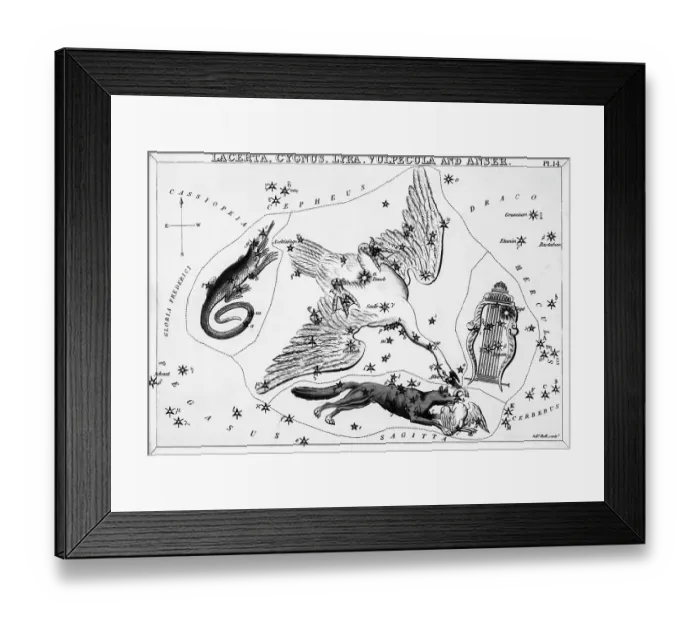 Framed Print : Cluster Of Constellations Incl. Cygnus Framed Print : Cluster Of Constellations Incl. Cygnus