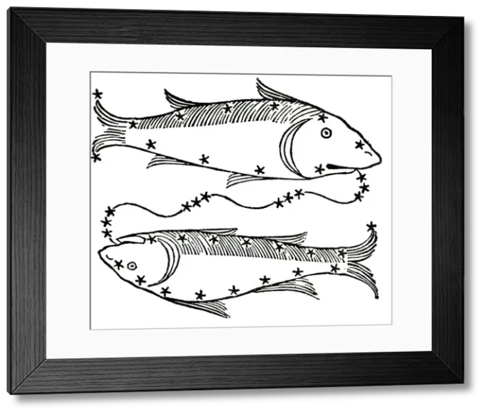 Framed Print : The Astrological Sign Of Pisces;The Fish Framed Print : The Astrological Sign Of Pisces;The Fish