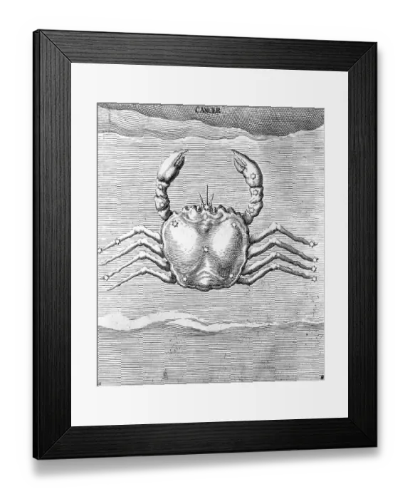 Framed Print : Engraving Of Constellation Cancer Framed Print : Engraving Of Constellation Cancer