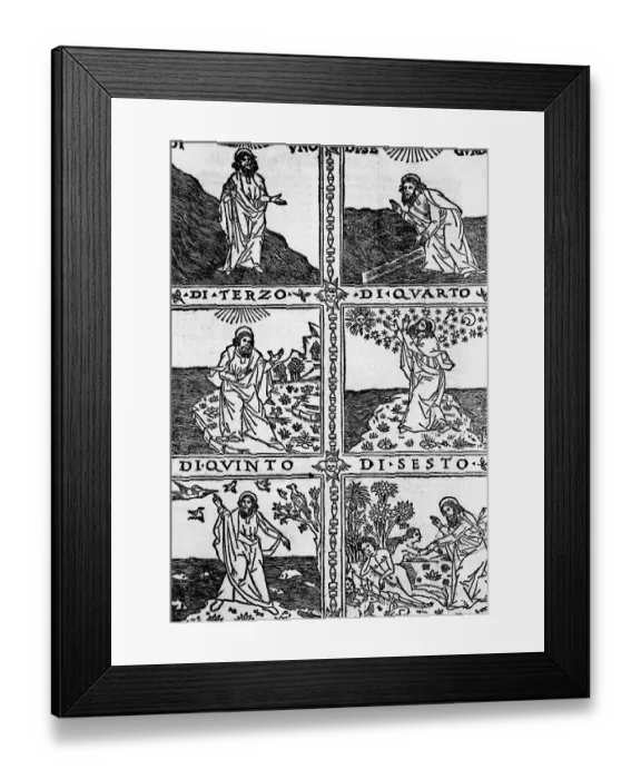 Framed Print : Six Panels Illustrate 6 Days Of Creation Framed Print : Six Panels Illustrate 6 Days Of Creation