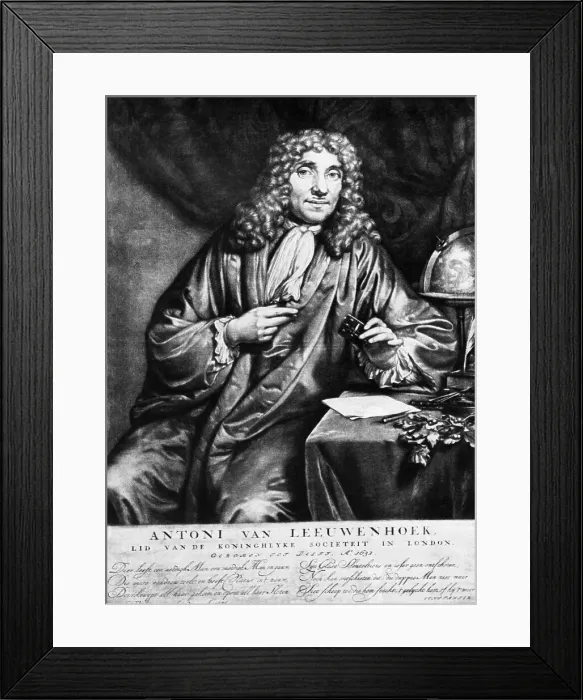 Framed Print : Antoni van Leeuwenhoek Engraving Framed Print : Antoni van Leeuwenhoek Engraving