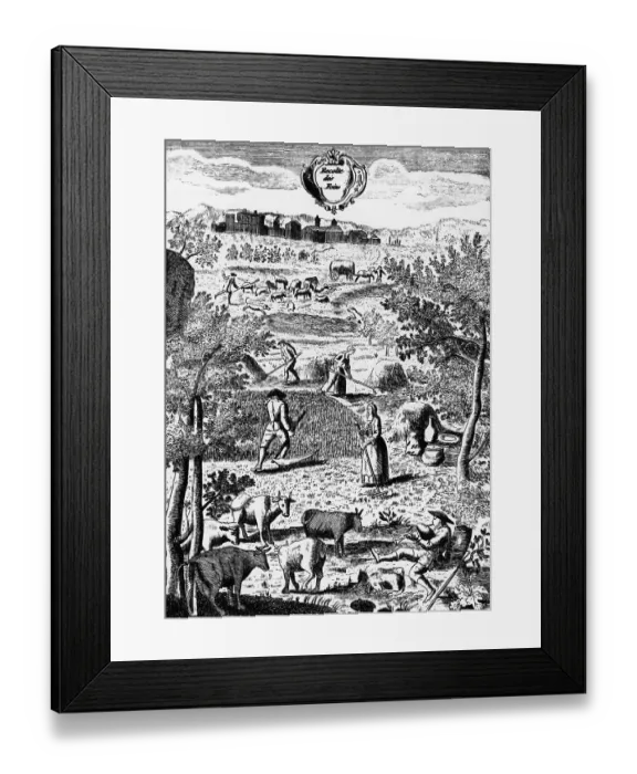 Framed Print : Rural Scene Of Harvesting In France Framed Print : Rural Scene Of Harvesting In France