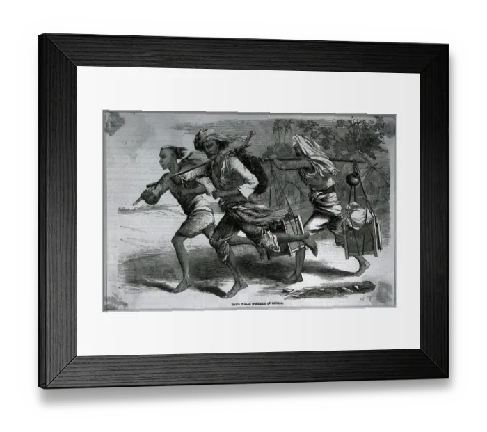 Framed Print : Bengalese Postman; Illustration Framed Print : Bengalese Postman; Illustration