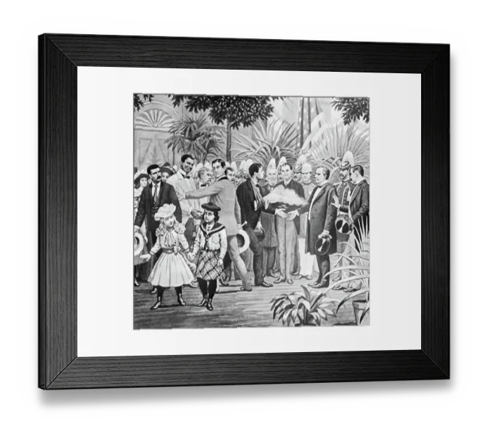 Framed Print : Assasination Of William Mckinley Framed Print : Assasination Of William Mckinley