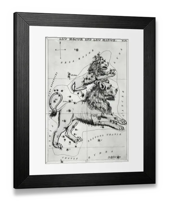 Framed Print : Constellation Leo -- Illustration Framed Print : Constellation Leo -- Illustration