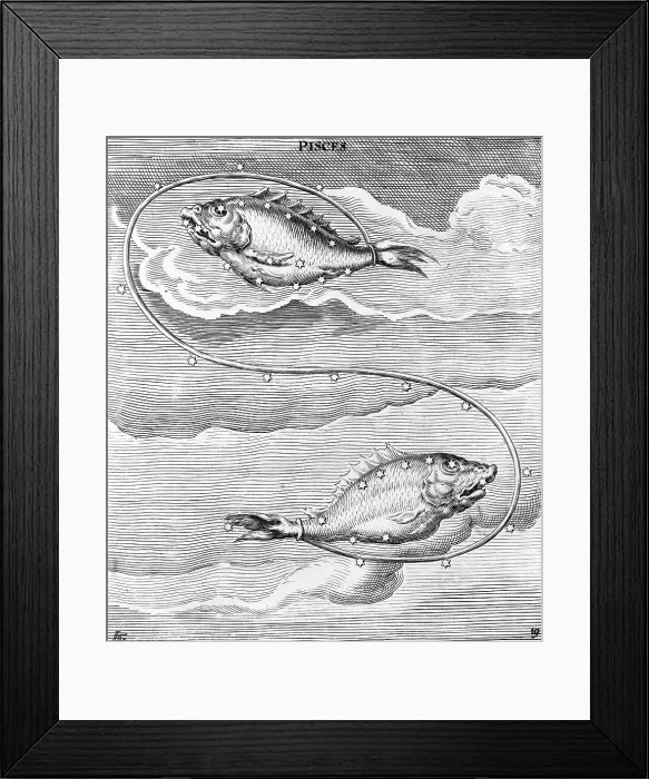 Framed Print : Engraving Of Constellation Pisces