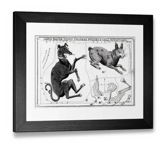 Framed Print : Constellations Canis Major & Lepus Framed Print : Constellations Canis Major & Lepus