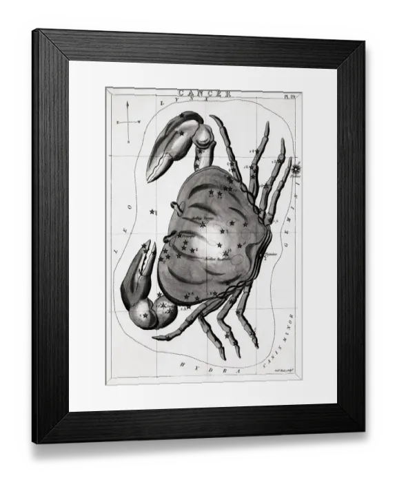 Framed Print : Engraving Of The Constellation Cancer Framed Print : Engraving Of The Constellation Cancer