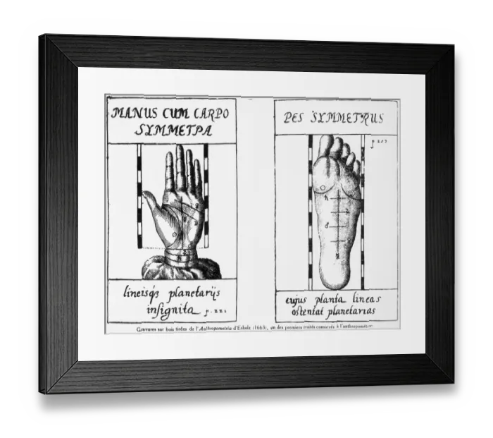 Framed Print : Hand & Foot Measurements--Wood Engraving Framed Print : Hand & Foot Measurements--Wood Engraving