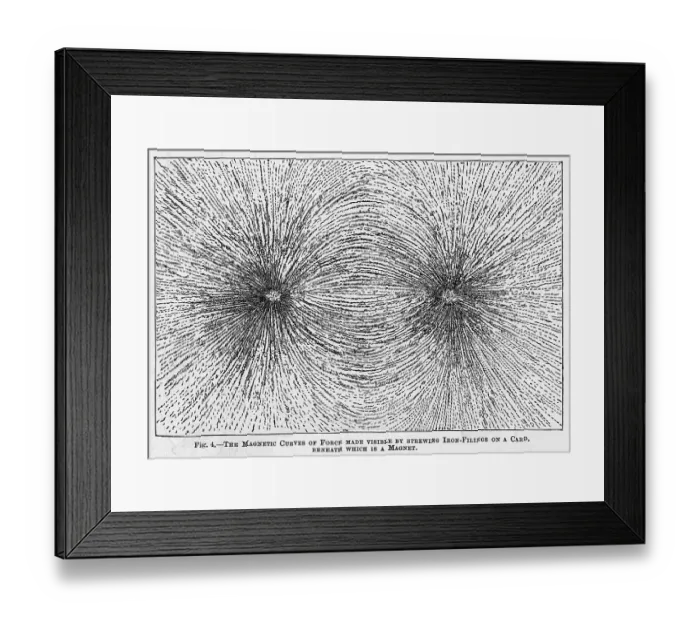 Framed Print : Iron Fillings Demosntrate Magnetic Force Framed Print : Iron Fillings Demosntrate Magnetic Force