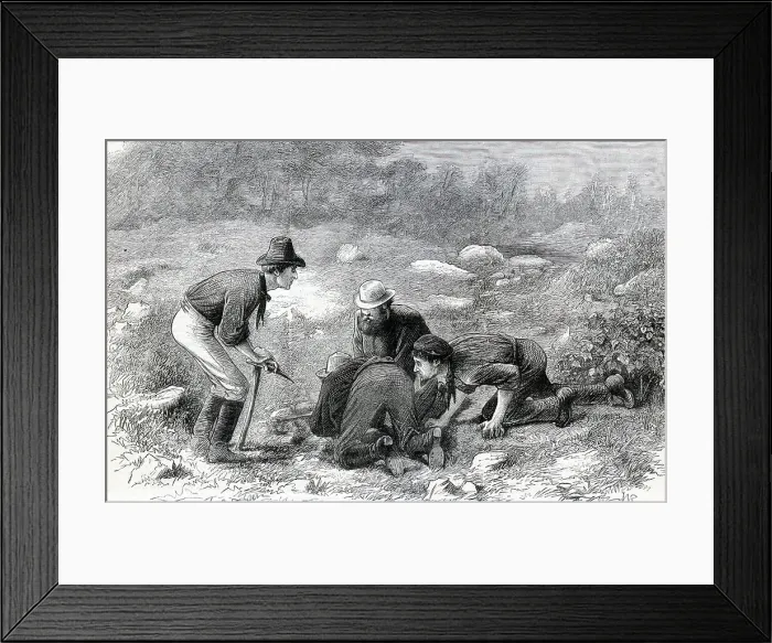 Framed Print : Men Digging for Gold Framed Print : Men Digging for Gold