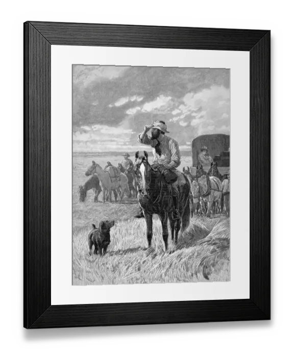 Framed Print : Man On Horseback Looking Into Distance Framed Print : Man On Horseback Looking Into Distance