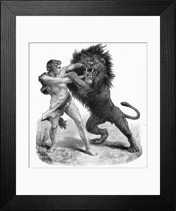 Framed Print : Man Wrestling With A Lion (Illus.) Framed Print : Man Wrestling With A Lion (Illus.)