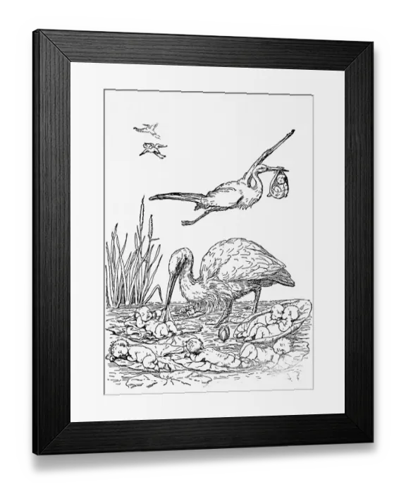 Framed Print : Storks Picking Babies Up / Delivery;Illust Framed Print : Storks Picking Babies Up / Delivery;Illust