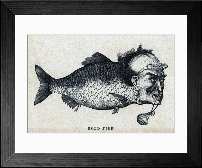 Framed Print : Cartoon Of Man'S Head On Fish Body Framed Print : Cartoon Of Man'S Head On Fish Body