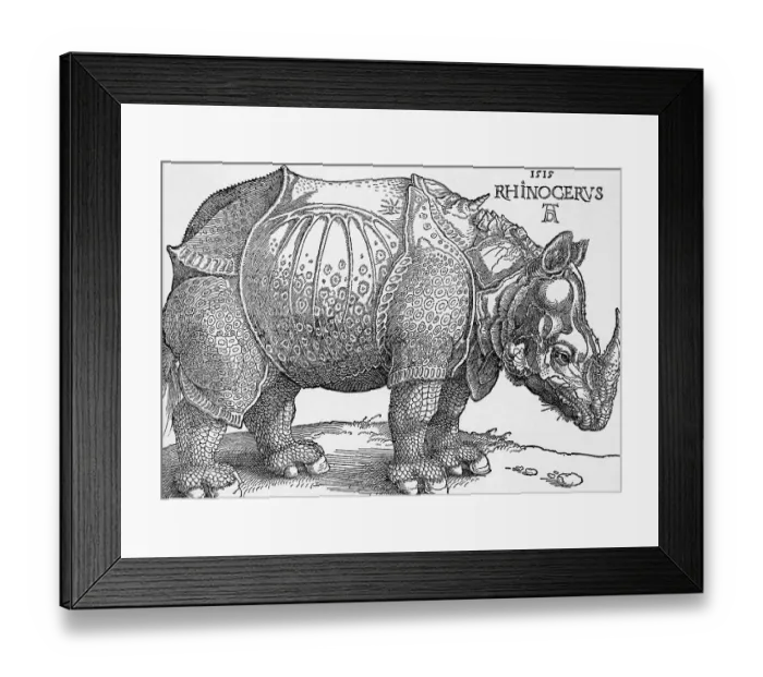 Framed Print : Rhinoceros by Albrecht Durer Framed Print : Rhinoceros by Albrecht Durer