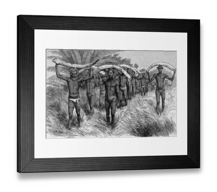 Framed Print : Men Bearing Elephant Tusks On Heads Framed Print : Men Bearing Elephant Tusks On Heads
