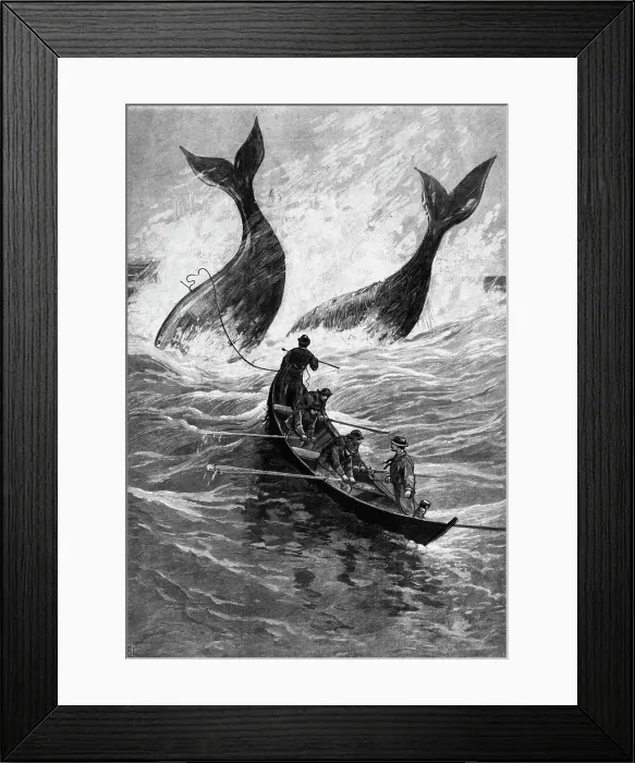 Framed Print : 19th-Century Woodcut of Whaling Framed Print : 19th-Century Woodcut of Whaling