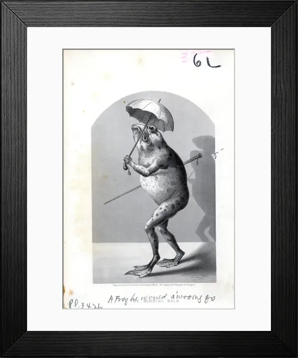 Framed Print : Nursery Rhyme, A Frog Would A Wooing Go Framed Print : Nursery Rhyme, A Frog Would A Wooing Go