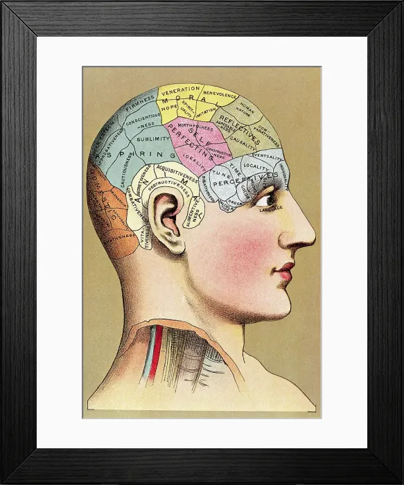 Framed Print : Color Lithograph of Phrenology Head with Human Capacities Framed Print : Color Lithograph of Phrenology Head with Human Capacities