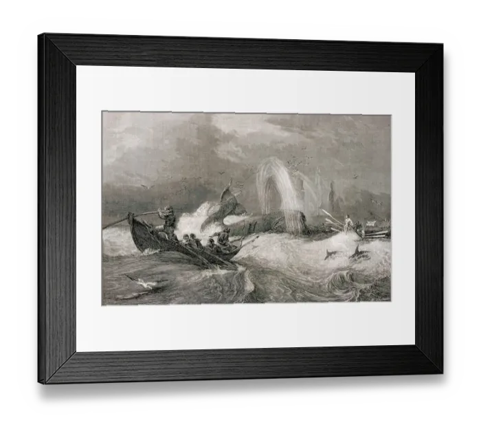 Framed Print : South Sea Whaling -- Engraving