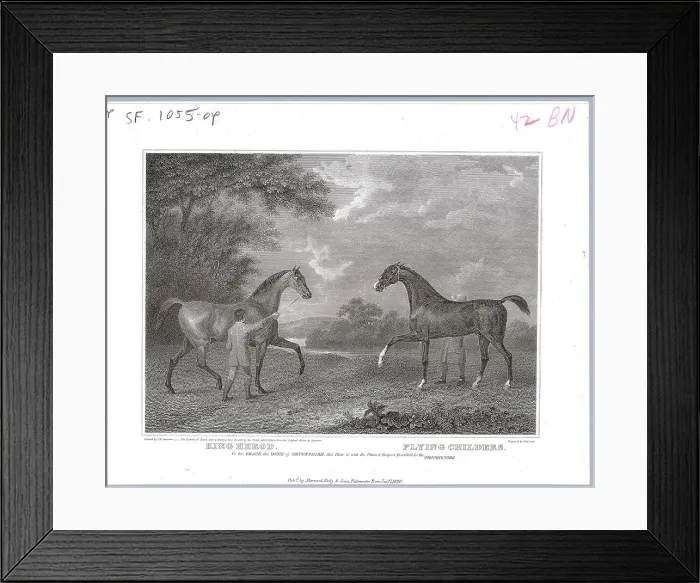 Framed Print : Engraving Of Thoroughbred Racehorses Framed Print : Engraving Of Thoroughbred Racehorses