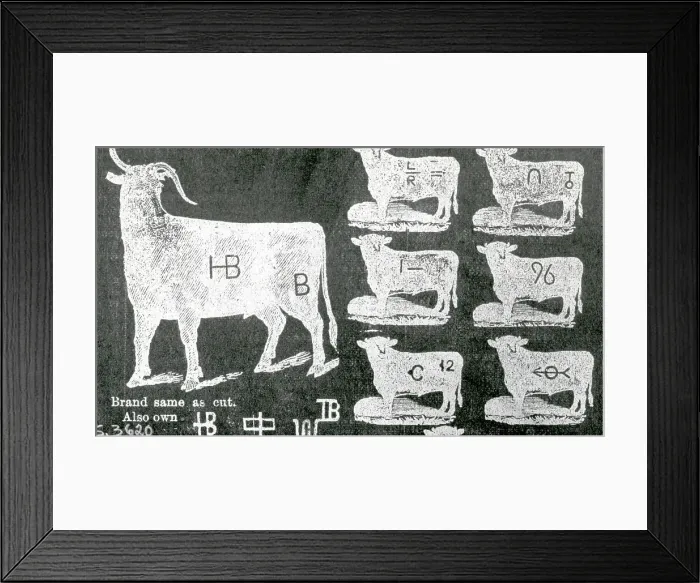 Framed Print : Chart of Branding Symbols Framed Print : Chart of Branding Symbols