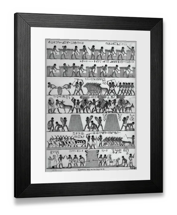 Framed Print : Egyptian Workers Harvesting Grain Framed Print : Egyptian Workers Harvesting Grain