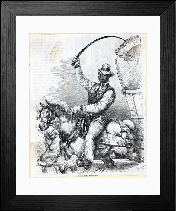 Framed Print : African Am Man Riding Horse / Wagon;Illus Framed Print : African Am Man Riding Horse / Wagon;Illus