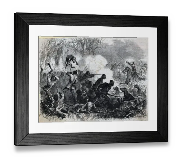 Framed Print : African Am Soldiers Fight Dogs Rebel Ill Framed Print : African Am Soldiers Fight Dogs Rebel Ill