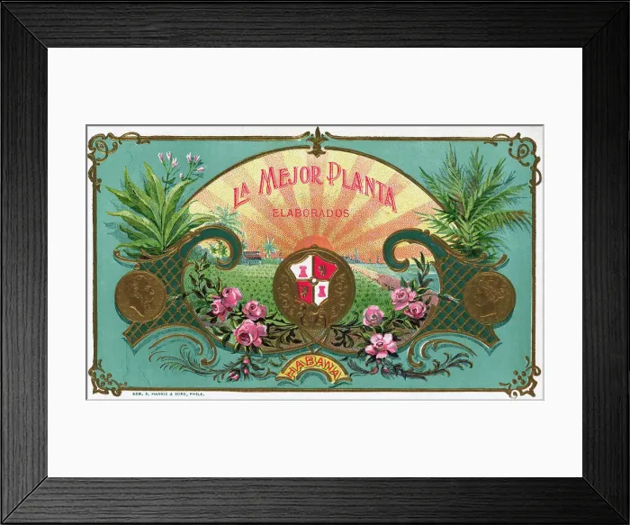 Framed Print : Label for La Mejor Planta Elaborados Cigar Box Framed Print : Label for La Mejor Planta Elaborados Cigar Box