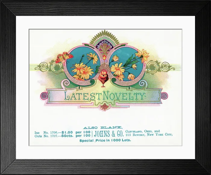 Framed Print : Bird And Flower On Novelty Cigar Box Framed Print : Bird And Flower On Novelty Cigar Box