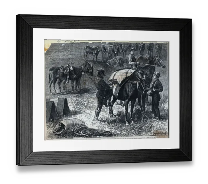 Framed Print : Illustration Of Men Loading Pack Mules Framed Print : Illustration Of Men Loading Pack Mules