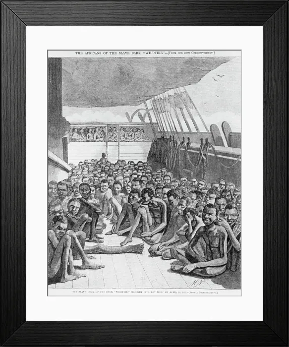 Framed Print : Slave Deck of the Bark Wildfire Illustration Framed Print : Slave Deck of the Bark Wildfire Illustration