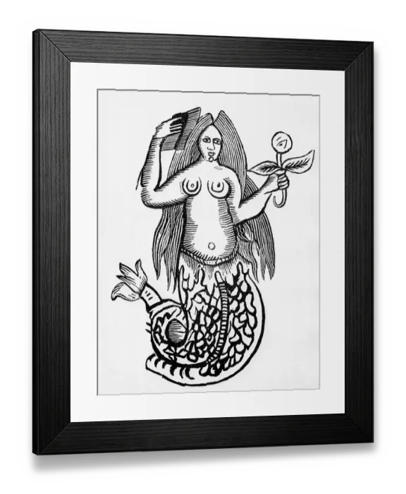 Framed Print : Illustration Of Mermaid Framed Print : Illustration Of Mermaid