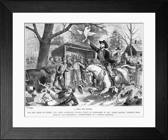 Framed Print : Illustration of Gander Pulling in Georgia Framed Print : Illustration of Gander Pulling in Georgia