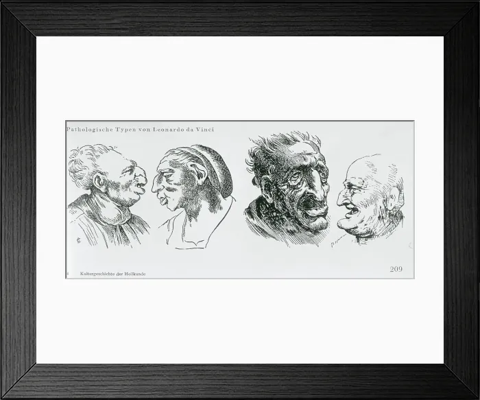Framed Print : Print After Four Unusual Facial Caricatures by Leonardo da Vinci Framed Print : Print After Four Unusual Facial Caricatures by Leonardo da Vinci