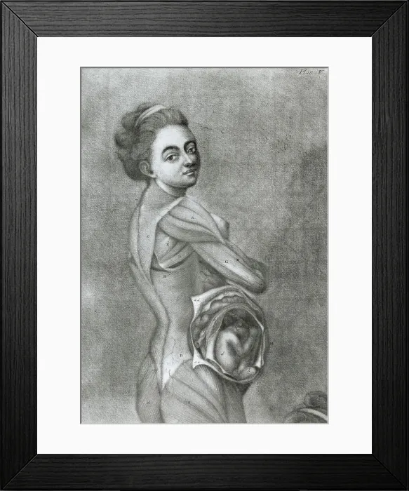 Framed Print : Illustration of Pregnant Woman Framed Print : Illustration of Pregnant Woman