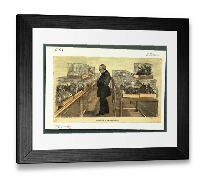 Framed Print : Illustration of Pasteur Taking Notes on Animals in his Laboratory Framed Print : Illustration of Pasteur Taking Notes on Animals in his Laboratory