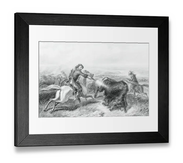 Framed Print : Illustration of Hunter Shooting Buffalo Framed Print : Illustration of Hunter Shooting Buffalo