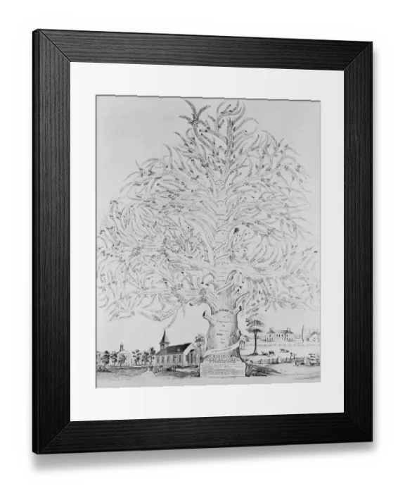 Framed Print : Illustration of Lee Family Tree Framed Print : Illustration of Lee Family Tree