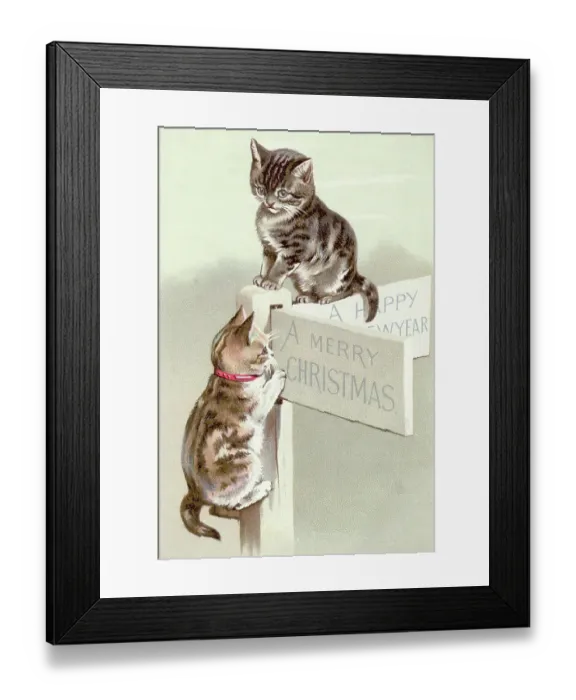 Framed Print : Cute Kitten'S On Holiday Cross-Roads Framed Print : Cute Kitten'S On Holiday Cross-Roads