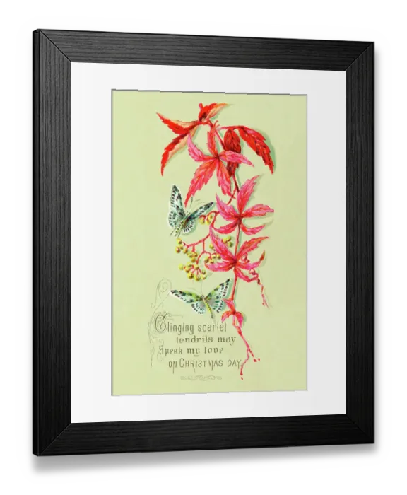 Framed Print : Christmas Card with Butterflies and Scarlet Elder Framed Print : Christmas Card with Butterflies and Scarlet Elder