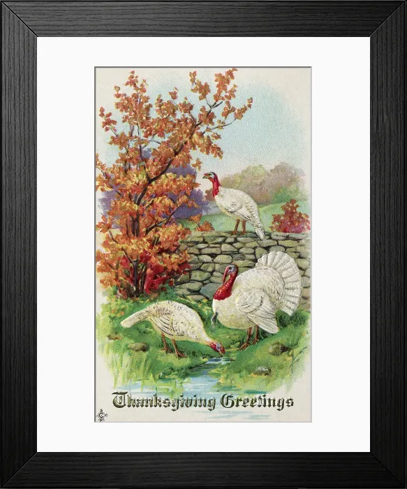 Framed Print : Postcard W / Turkeys / 'Thanksgiving Greetin Framed Print : Postcard W / Turkeys / 'Thanksgiving Greetin