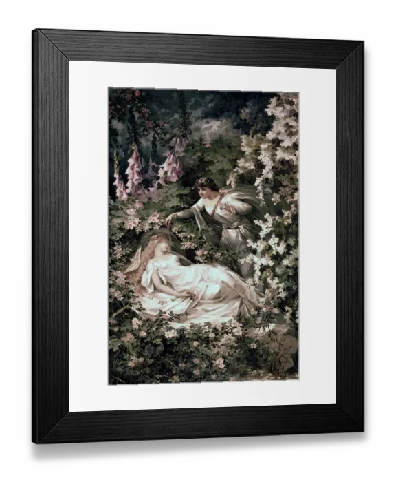 Framed Print : Illustration Depicting the Prince Discovering Princess Aurora from Sleeping Beauty Framed Print : Illustration Depicting the Prince Discovering Princess Aurora from Sleeping Beauty
