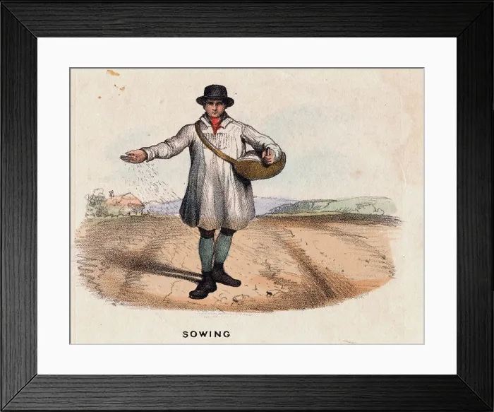 Framed Print : Illustration Depicting a Farmer Sowing a Field by Hand